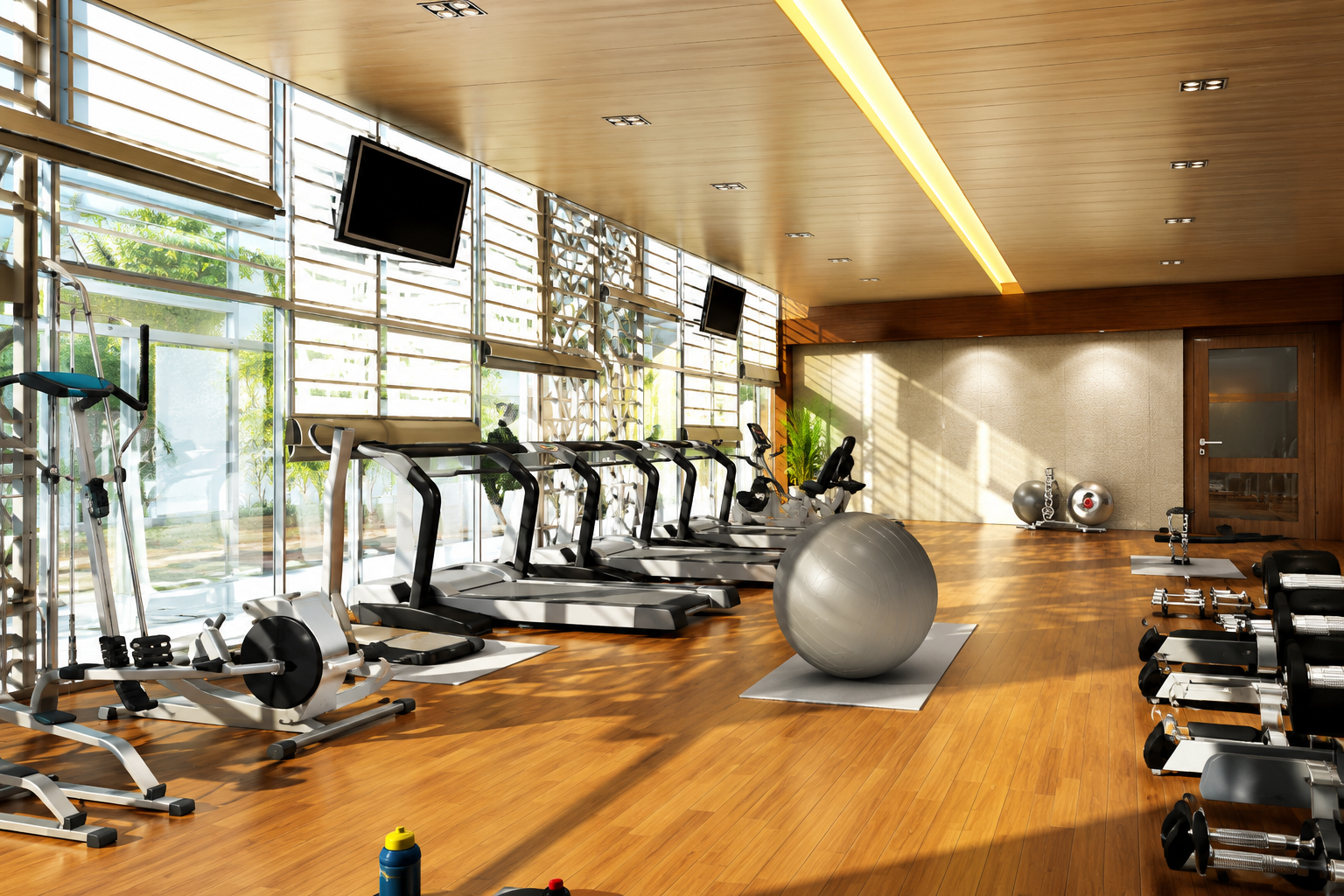 Gymnasium